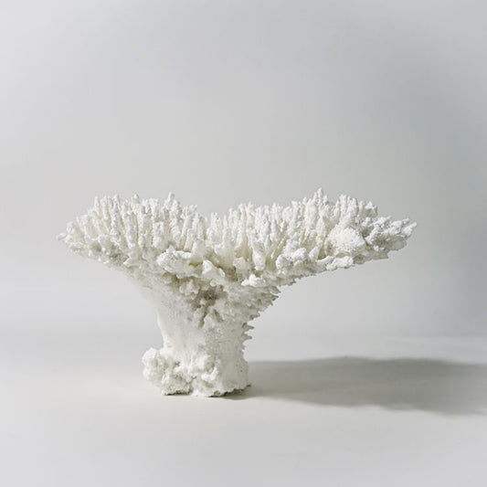 Coral Design Resin Desktop Ornament