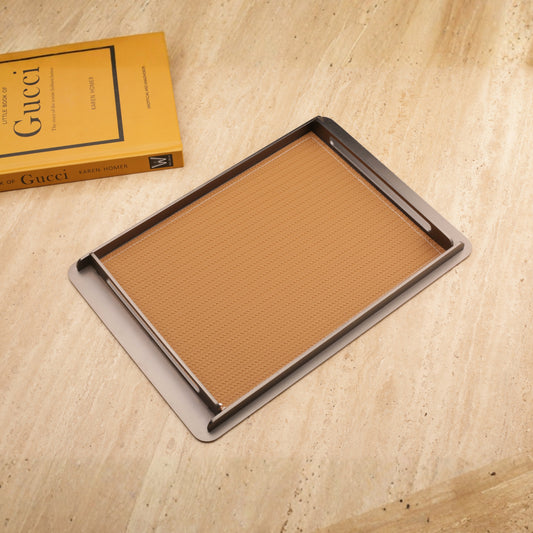 Metal Frame Decorative Leather Tray