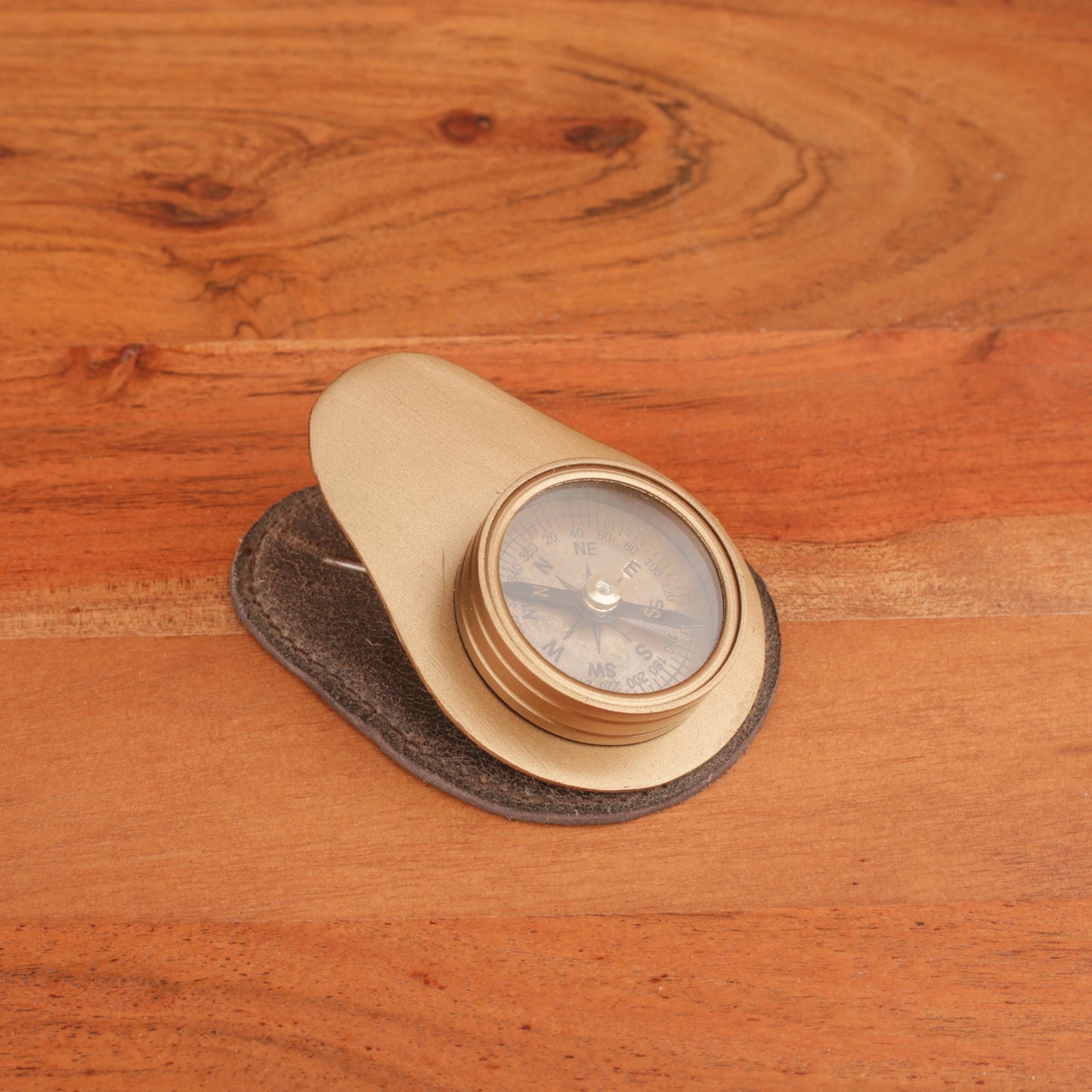 Compass Pattern Paper Holder