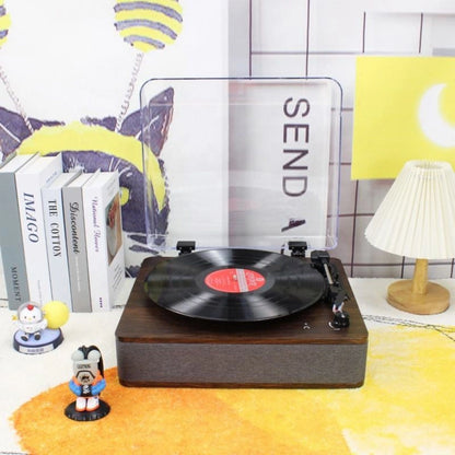 Vinyl Record Player With Dust Cover