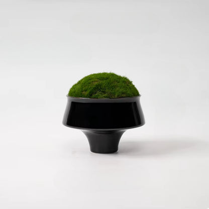 Black Decoration Resin Moss Flower Ornaments