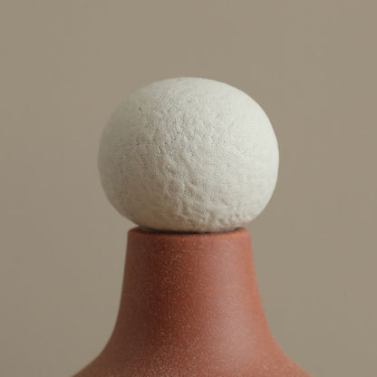 Black And White Painted Red Flower Vase