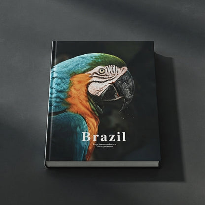 Brazil Decorative Coffee Table Book