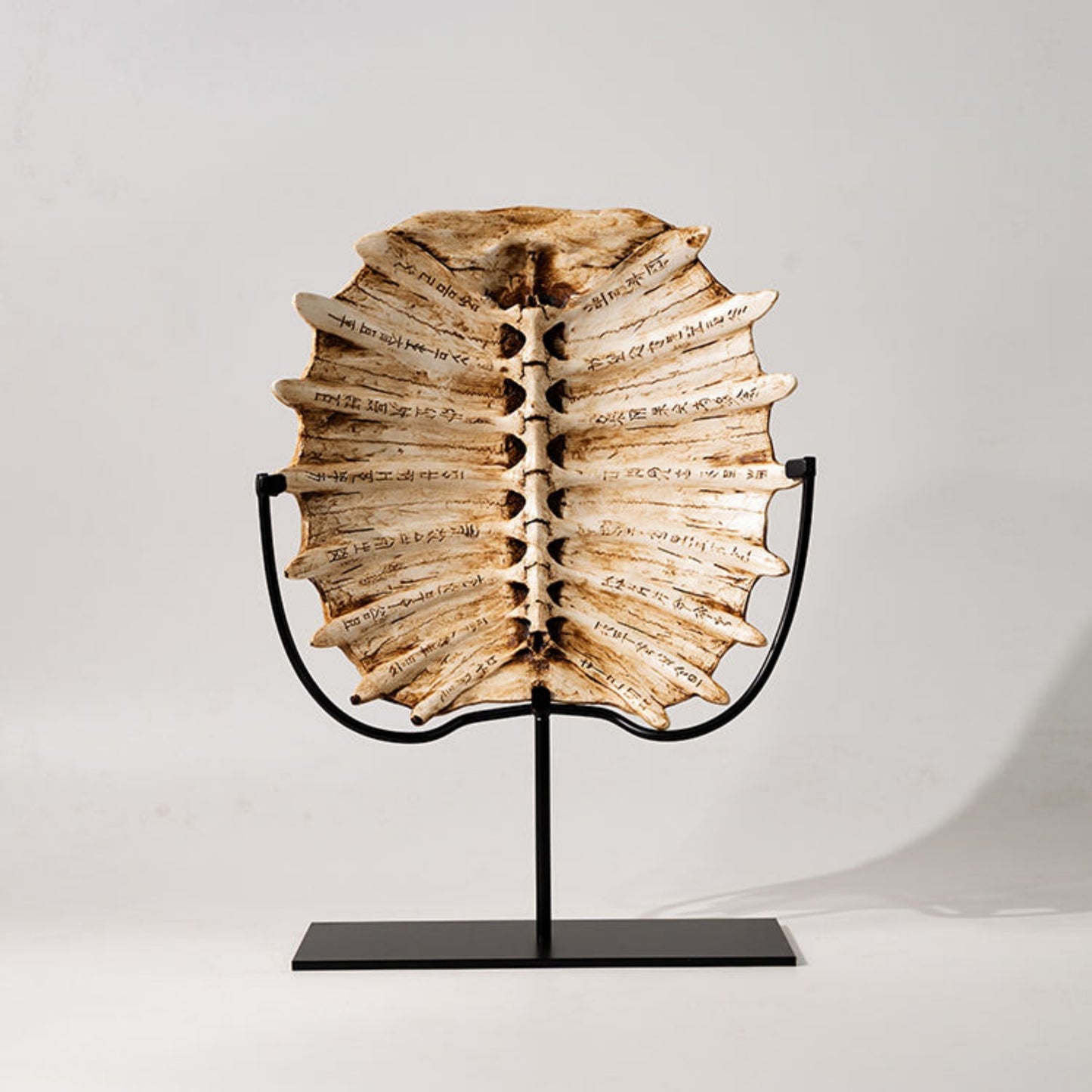 Oracle Bone Retro Ornament (Turtle Shell, Dinosaur Fossil)