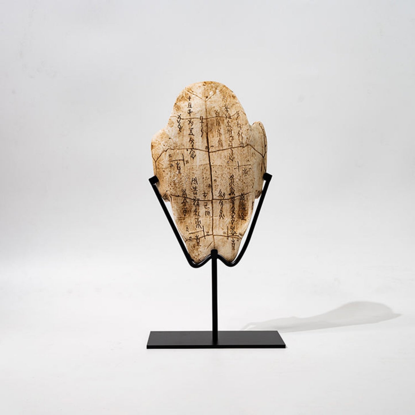 Oracle Bone Retro Ornament (Turtle Shell, Dinosaur Fossil)