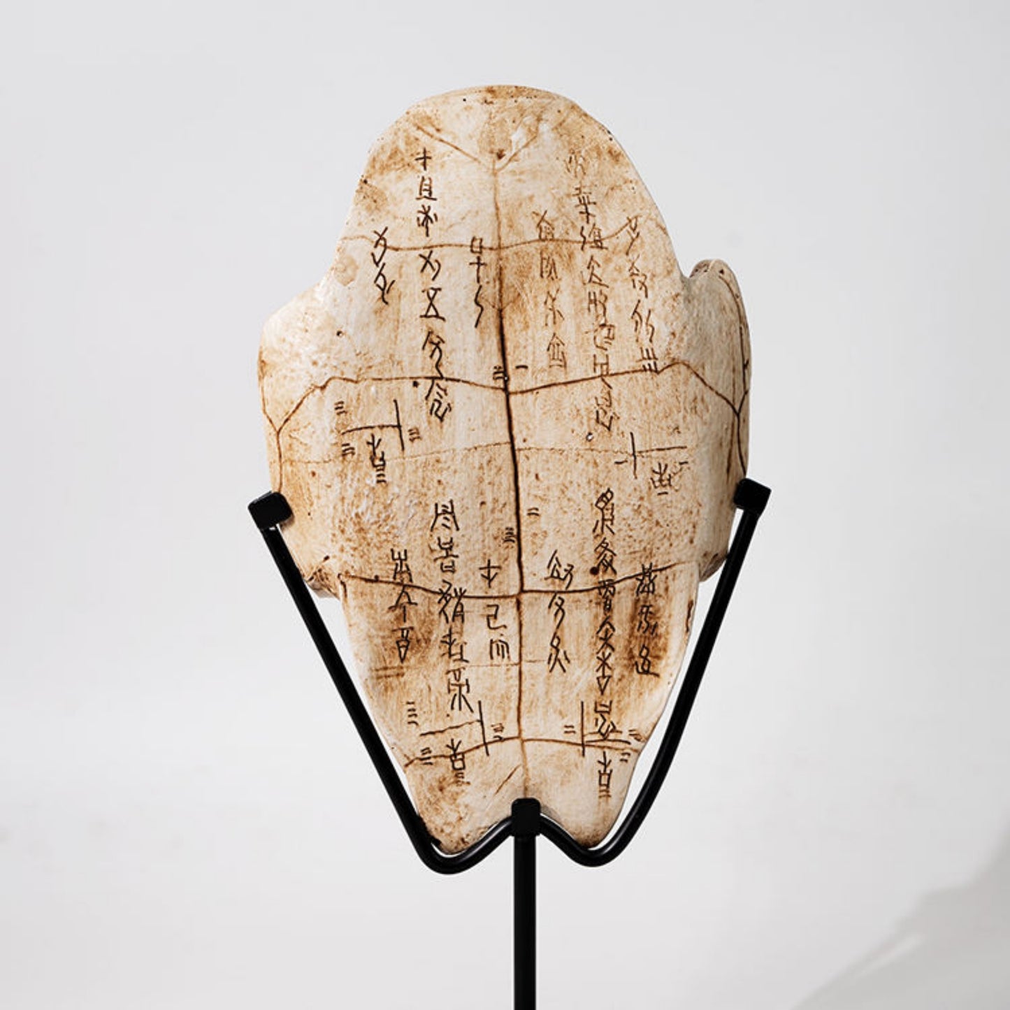 Oracle Bone Retro Ornament (Turtle Shell, Dinosaur Fossil)