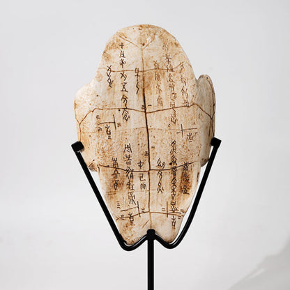 Oracle Bone Retro Ornament (Turtle Shell, Dinosaur Fossil)