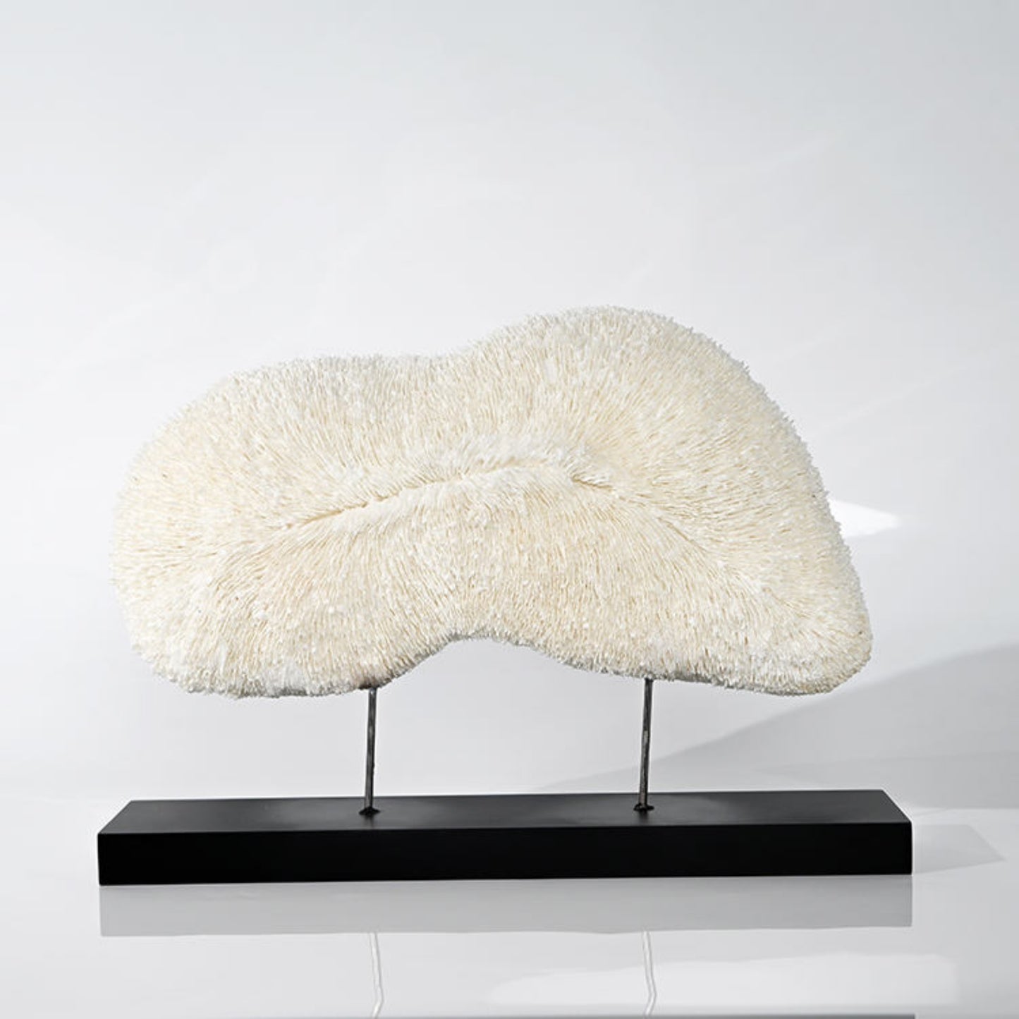 Coral Unique Design Desktop Ornament