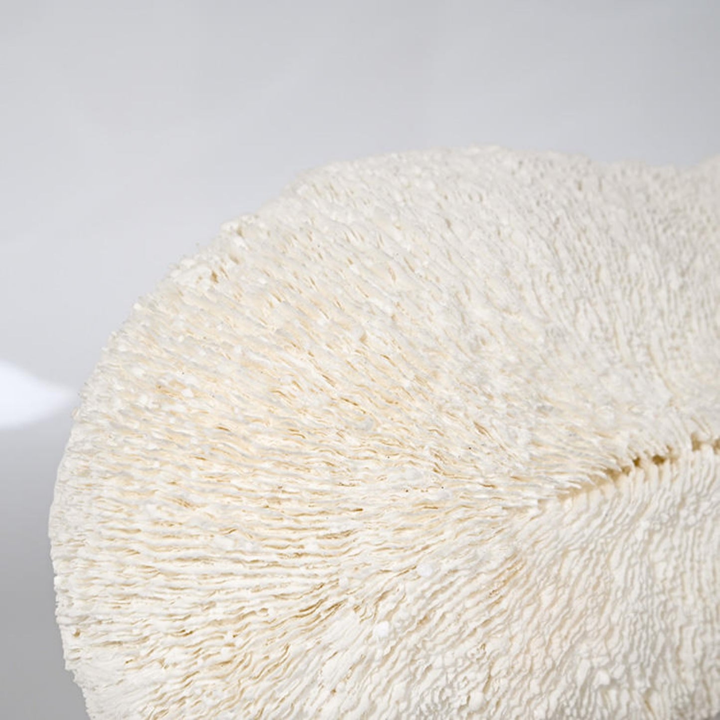 Coral Unique Design Desktop Ornament