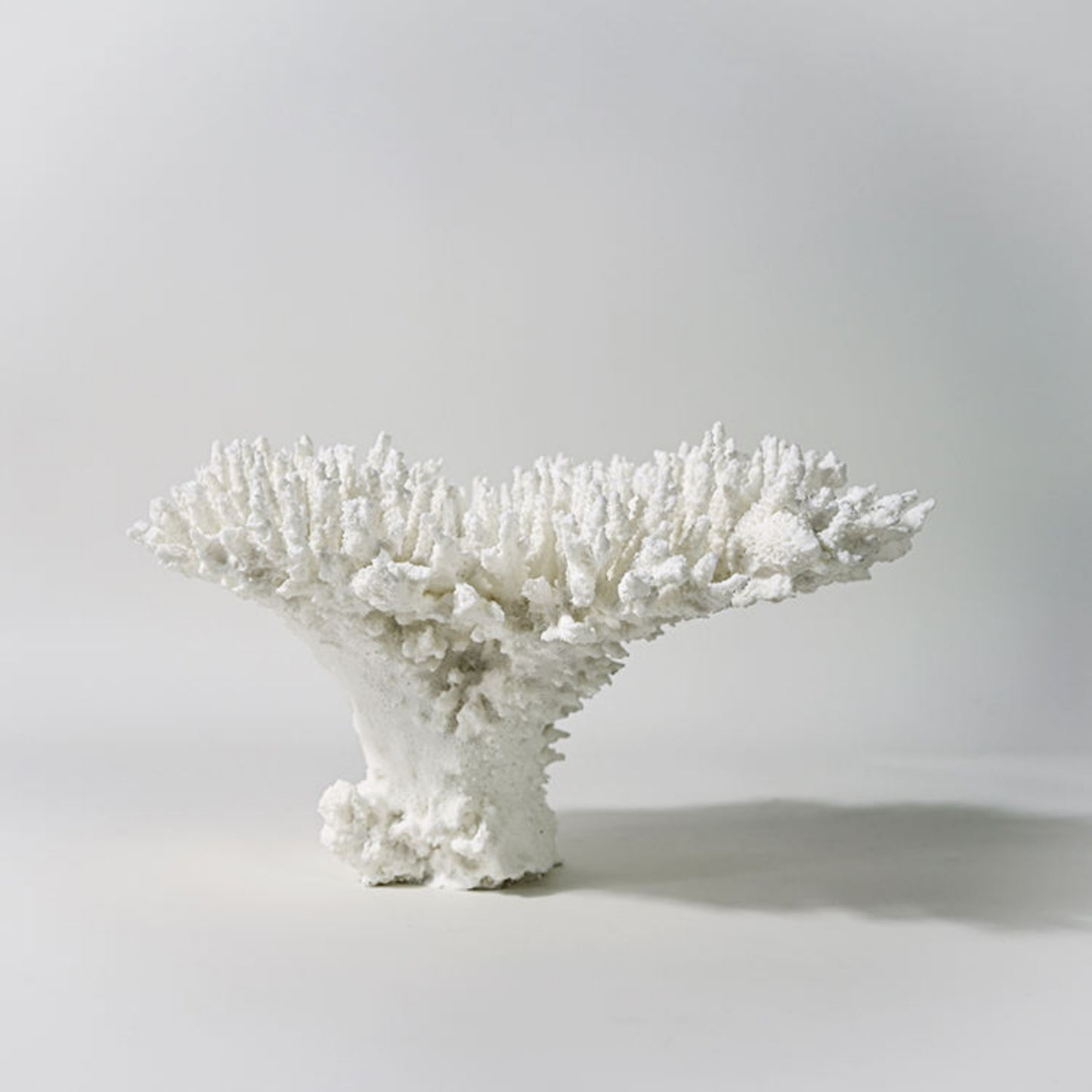 Coral Design Resin Desktop Ornament