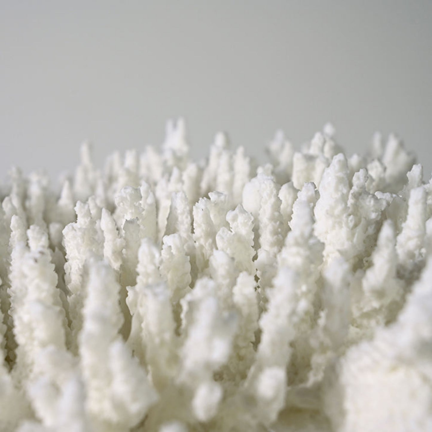 Coral Design Resin Desktop Ornament