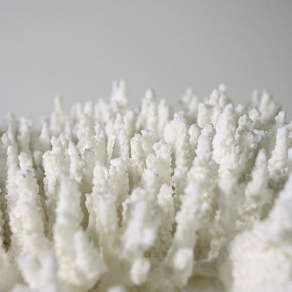 Coral Design Resin Desktop Ornament