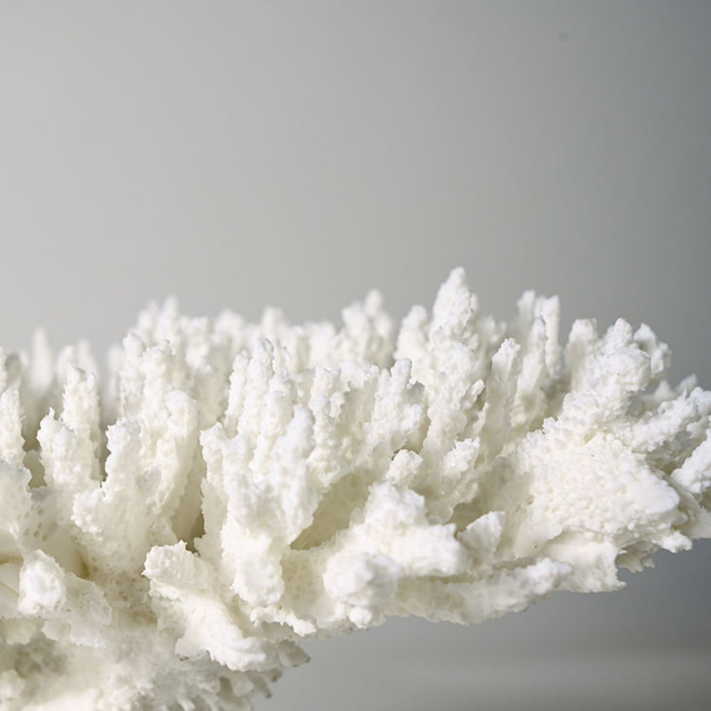 Coral Design Resin Desktop Ornament