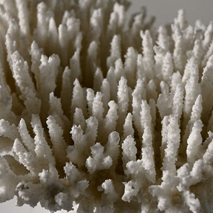 Coral Design Resin Desktop Ornament
