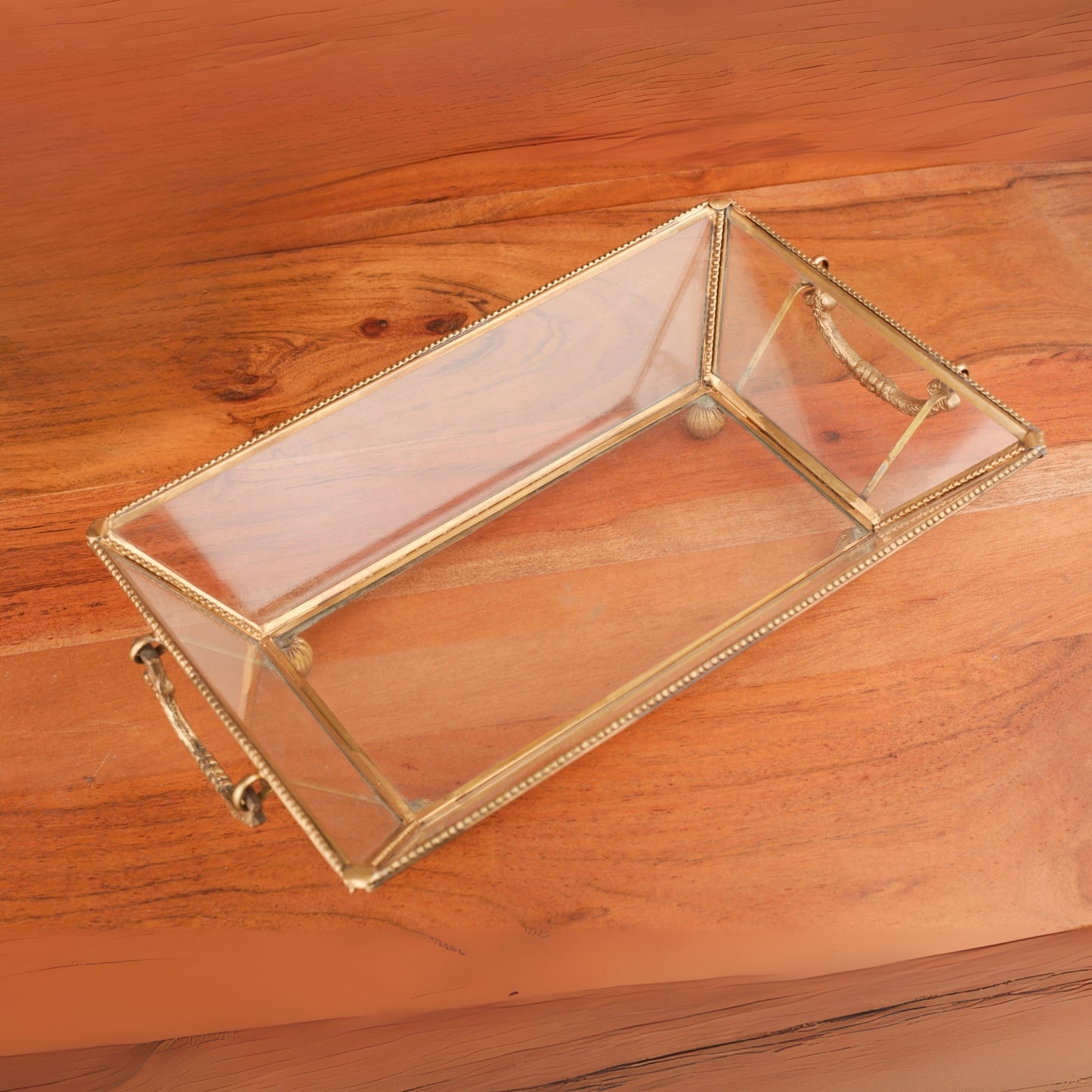 Brass Finish Frame Glass Tray With Handle