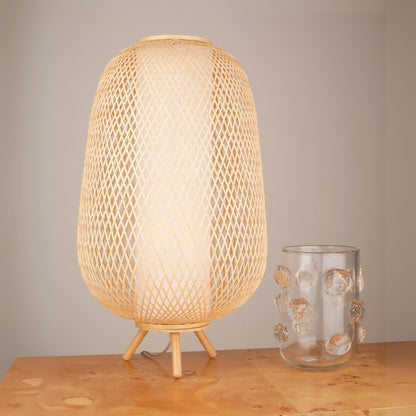 Bamboo Woven Floor Lamp