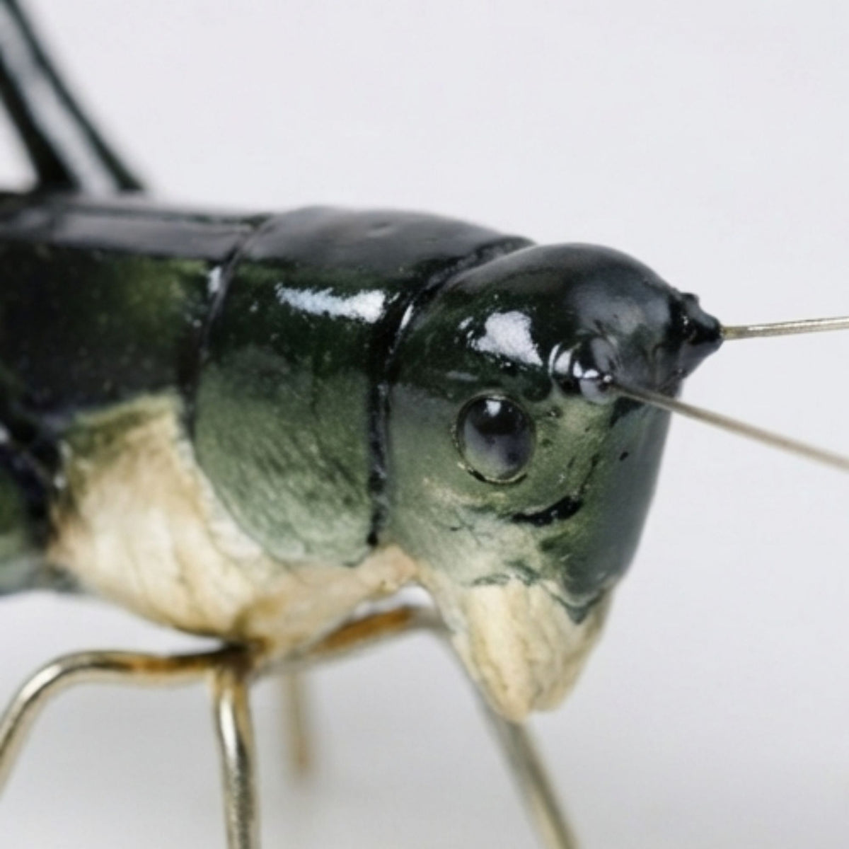 Slender-Legged Locust Decorative Figurine