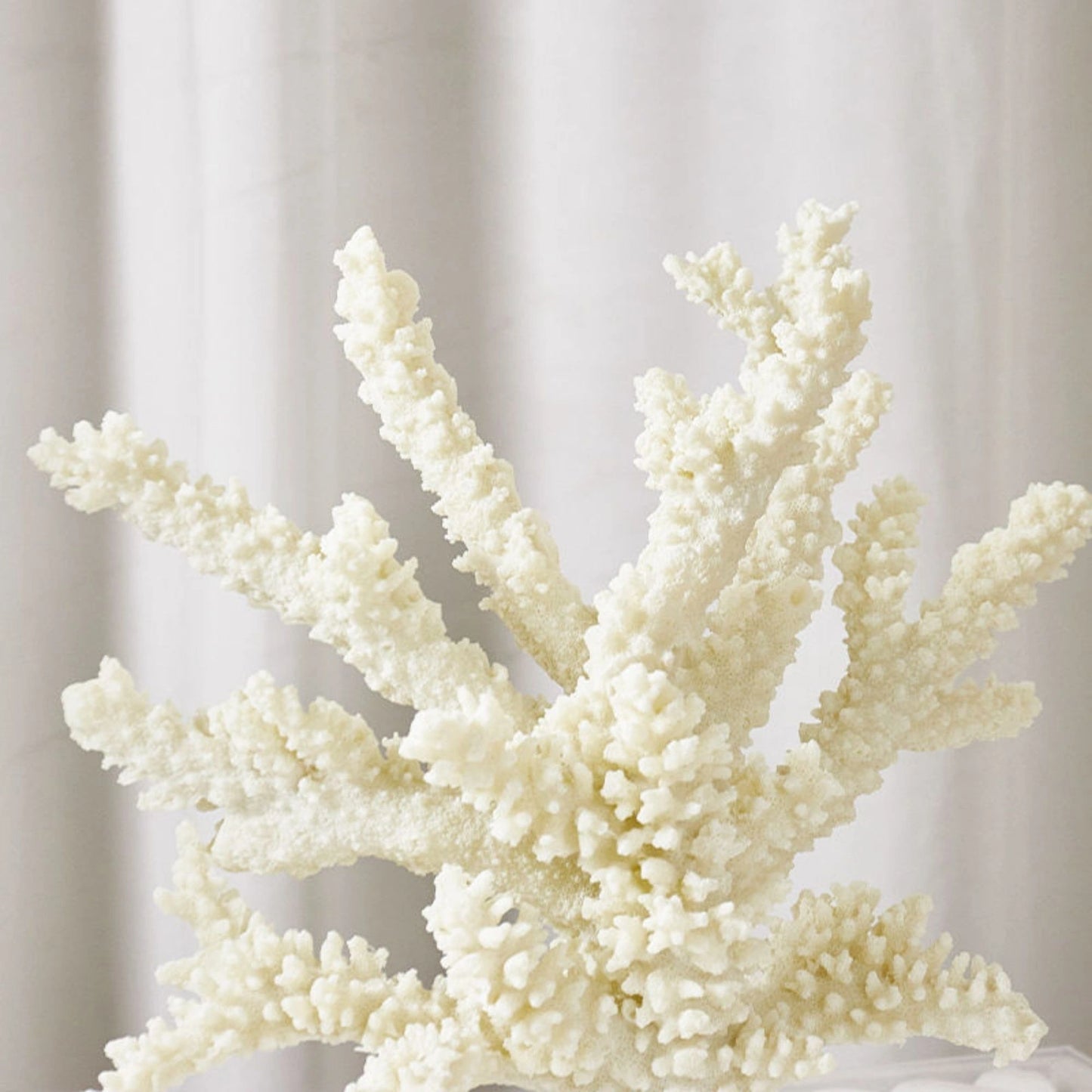 Coral Tabletop Decorative Ornament